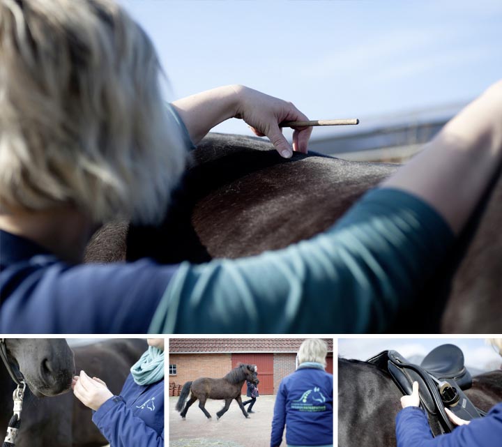 Kristina Gardemann mit Pferd im Profil
